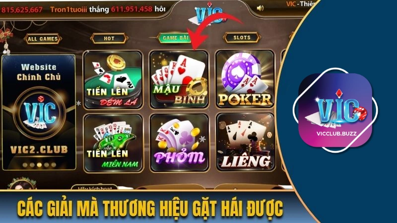 Các giải mà thương hiệu gặt hái được