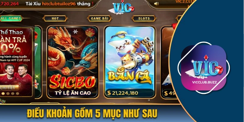 Điều khoản điều kiện của Vicclub sẽ gồm 5 mục như sau